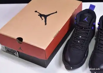 12 AIR “DARK JORDAN CONCORD” CT8013-005 0526